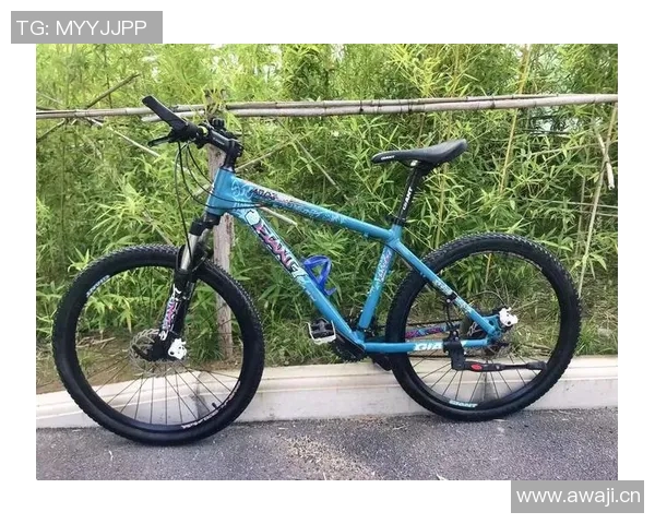 探索捷安特ATX790山地车的性能与骑行体验全解析 探索捷安特ATX790山地车的性能与骑行体验全解析