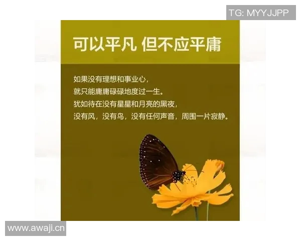 李添荣的奋斗历程与人生哲学探讨：从平凡到卓越的心路历程